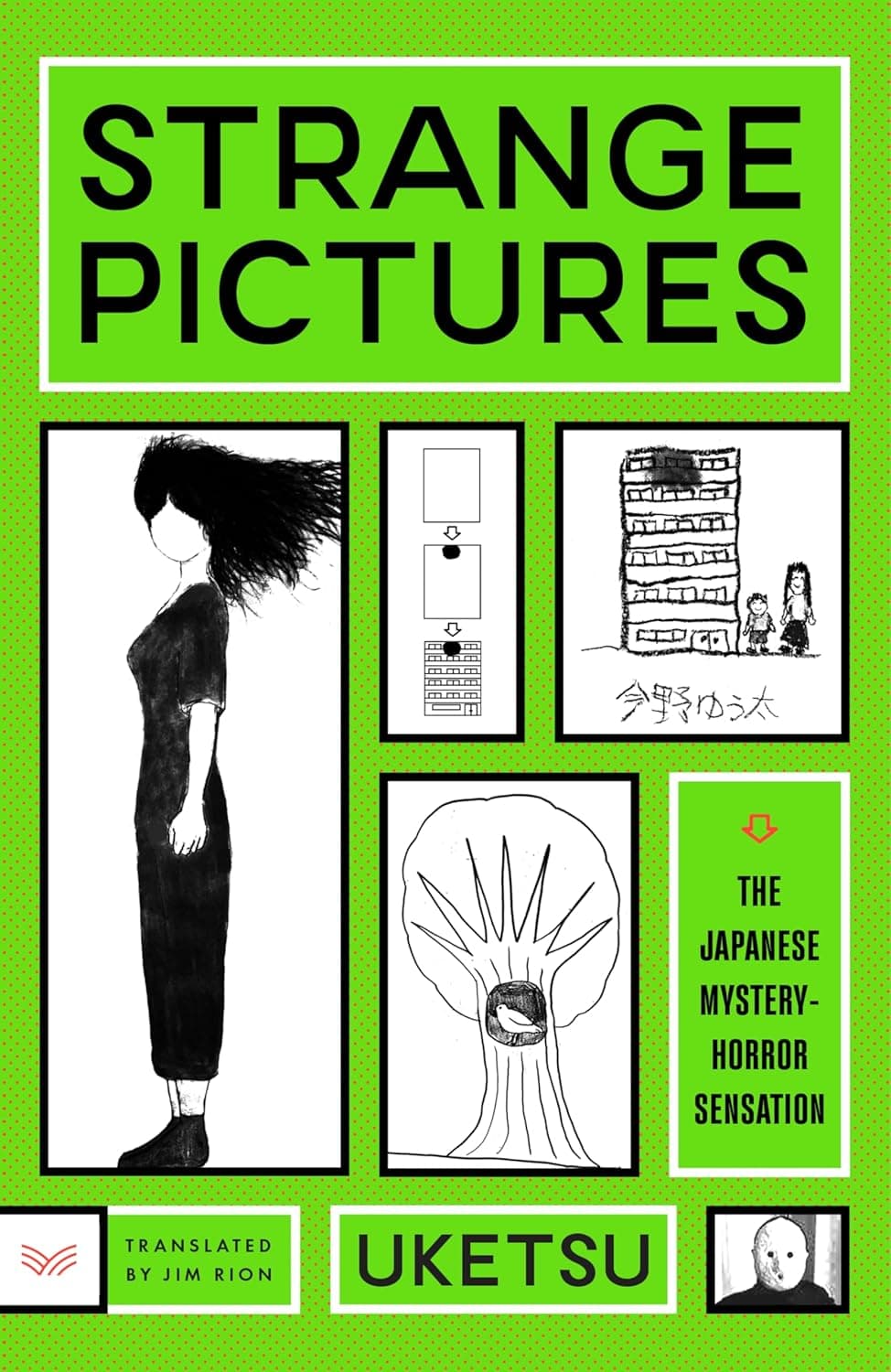 Cover of Strange Pictures